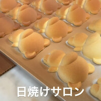 画像329