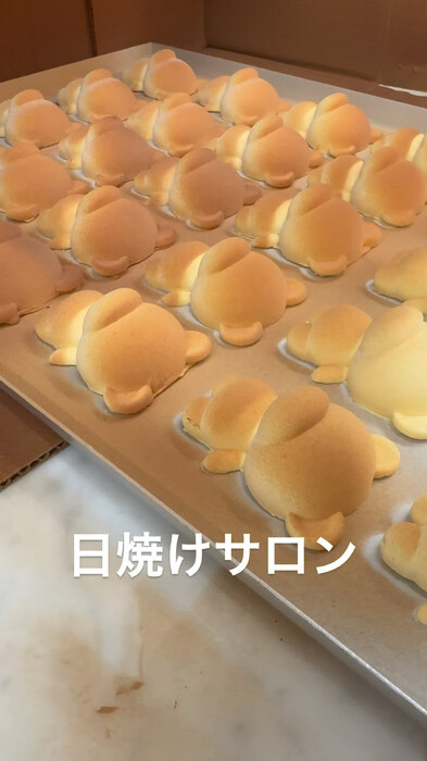 画像329